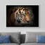 Animaux, tigre du Bengale-93629083-93629084