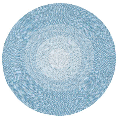 Braided 220 Area Rug In Aqua