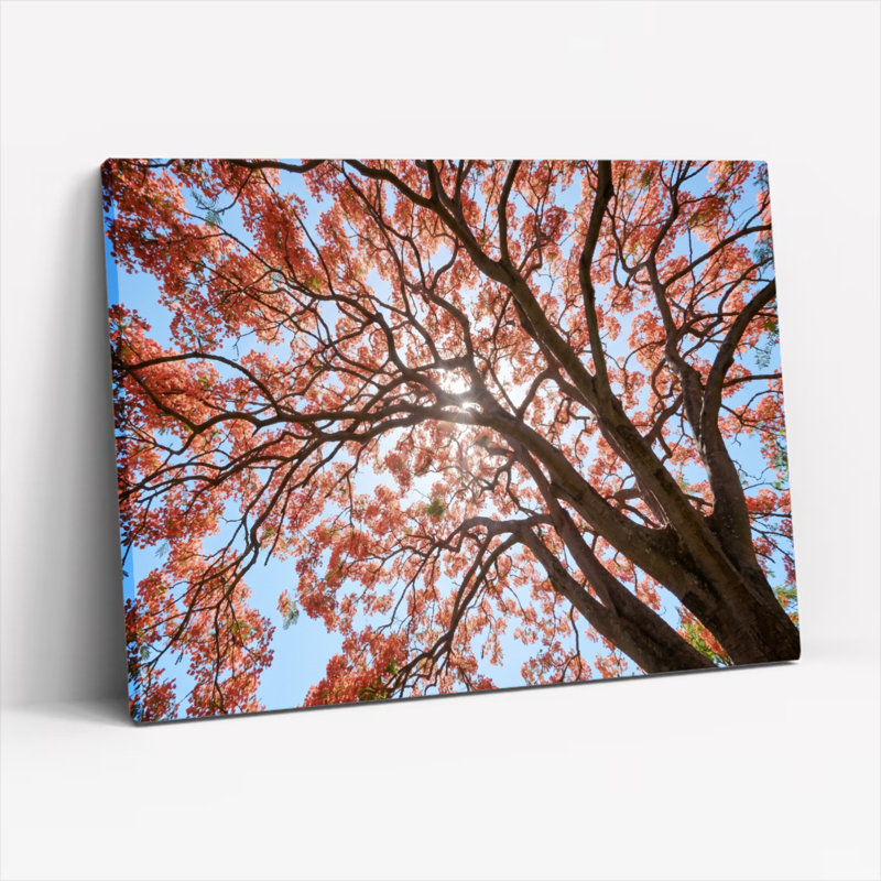 Ensemble de 1 tableau sur toile représentant un arbre d'automne, H 20 po x l 30 po, Toile tendue
