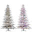 6.5' Flocked Mountain Pine-501923482