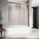 60'' - W x 60'' H Double Sliding Door Framed Tub Door with Enduro Shield