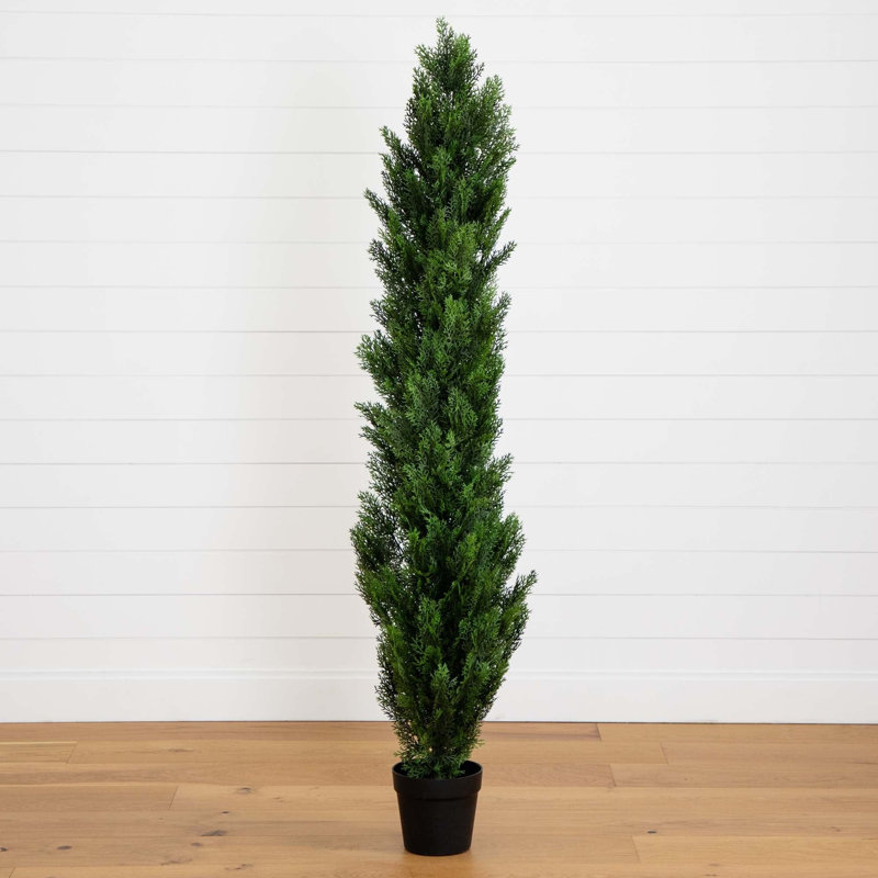 Mini Cedar Pine Silk Tree, 72" H x 26" W x 26" D