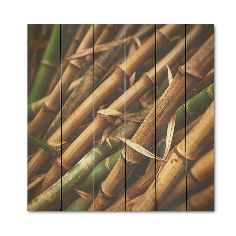 Bamboo Field Close Up I - Art mural en bois de bambou sur bois de pin naturel, H 30 po x l 30 po