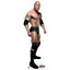 76'' WWE Cardboard Standup