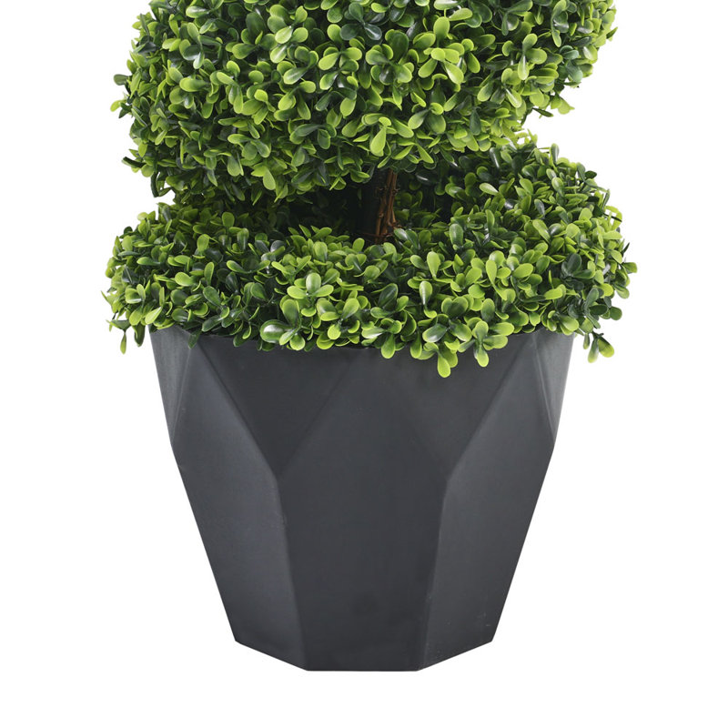 90cm Plant