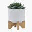 PLATEAU 5 "AVEC SUPPORT CHEVRON, BLANC