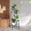 Plant Stand - Set of 5
