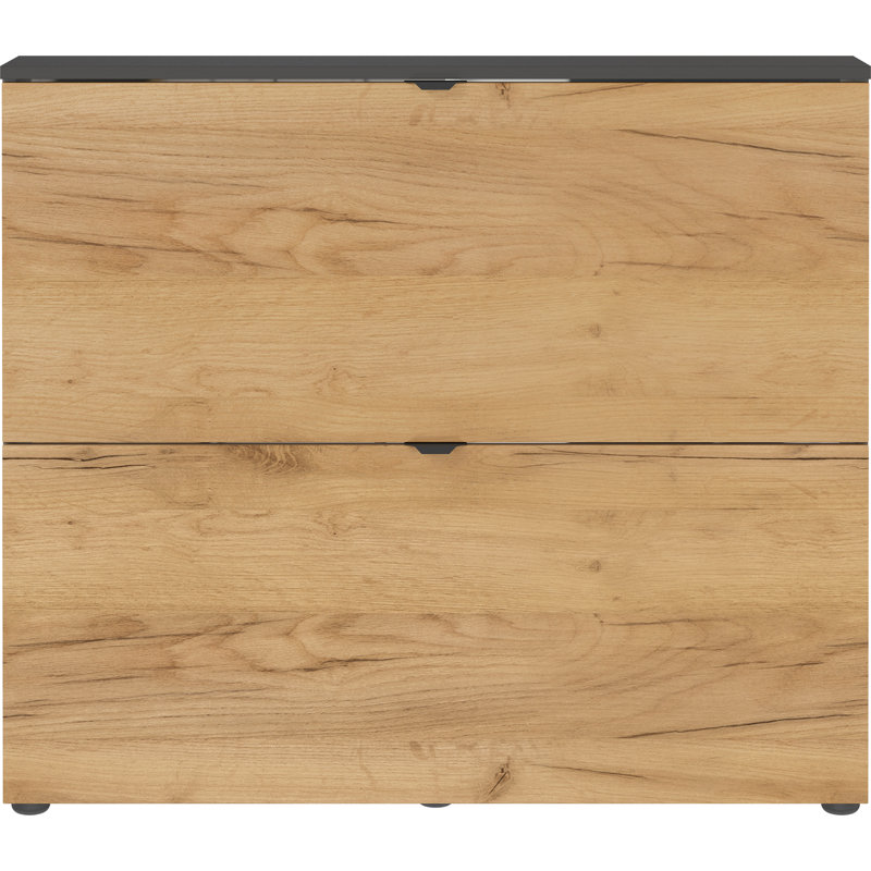 Aryauna 8 Pair Shoe Storage Cabinet