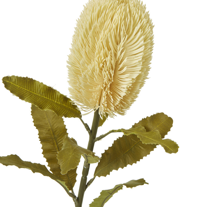 Anastasija Arrangement, Cream, 65 cm H x 5 cm W x 5 cm D