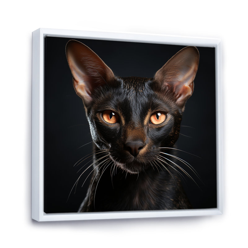 «Oriental Elegance Black Cat Portrait I», art mural sur toile, H 36 po x l 36 po, Cadre flottant blanc