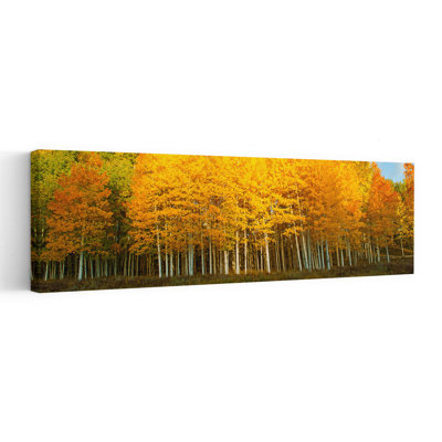 Aspen Trees in Autumn, Last Dollar Road, Telluride, Colorado, États-Unis, art contemporain de paysage forestier abstrait