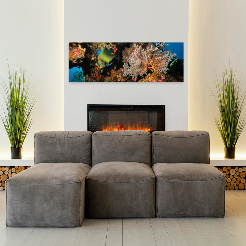 Vibrant Reef Fish by Dmitriy Yevtushyk - Wrapped Canvas Panoramic Print, 40.64 cm H x 121.92 cm W