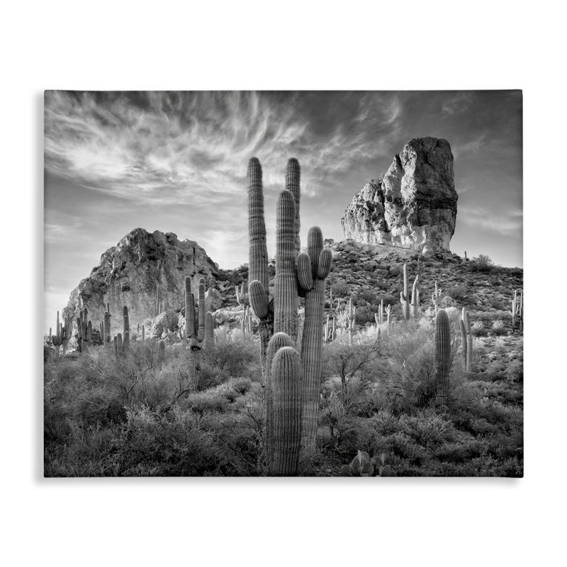 Art mural sur toile Lacting Cacti & Canyon View, conception par David Drost, H 16 po x l 20 po