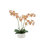 FLORAL ORCHID PHALE 4 STEM POT WHITE 23IN