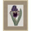 Floral Study In Plum 2 Painting