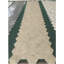 Carrelage en marbre naturel Hexagon Gold Beige FS pour mur