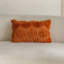 Soft Plush Pumpkin Pattern Throw Pillow