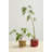 Cucina Pot 5.5"x 4.5"
