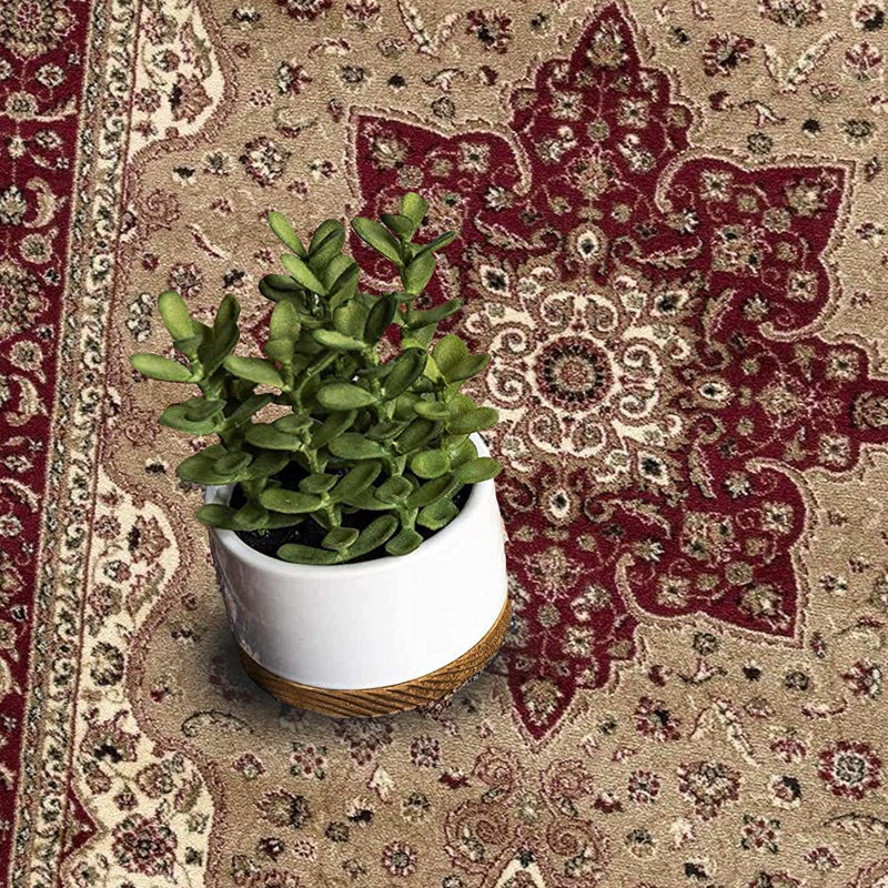 Oriental Area Rug, Rectangle 120 x 170cm