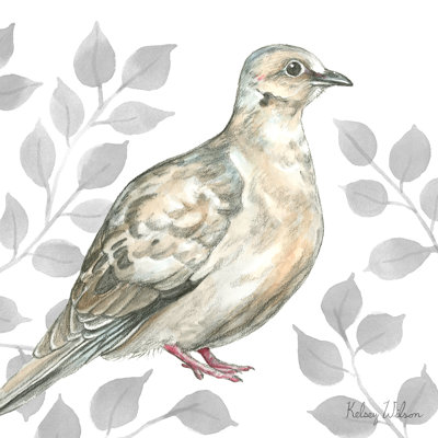 Muhja Backyard Birds V-Mourning Dove par Kelsey Wilson