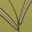 Schumacher x Neisha Crosland Caterpillar Leaf Wallpaper-935644993