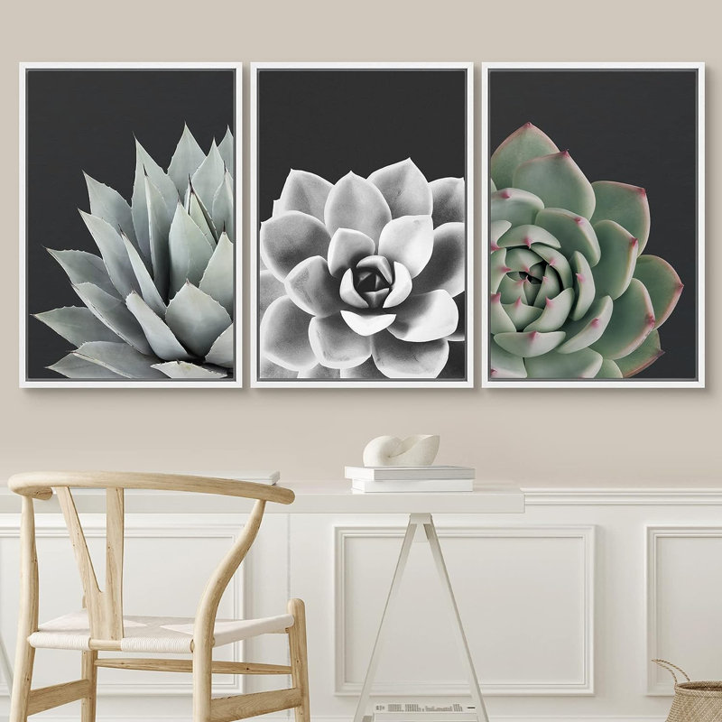 Black and White Desert Rose Echeveria Succulent Botanical Plants Framed On Canvas 3 Pieces Print, White Framed