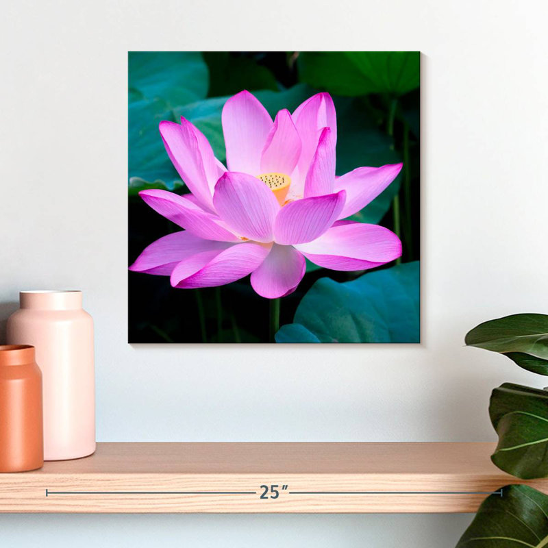 Lotus Blossom, 16" H x 16" W