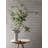 AVIO Oak End Table-110275645-110742286