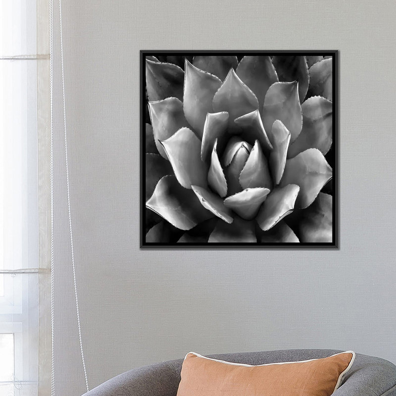 «Succulent II», impression sur toile, H 18 po x l 18 po x P 1,5 po, Toile avec cadre noir, Pas de tapis