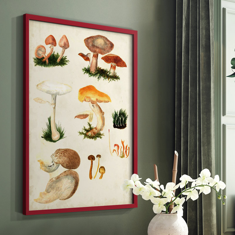 «Mushroom Species IV», reproduction encadrée - bois massif, Rouge, H 10 po x l 8 po