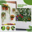 Boîte à fleurs en métal avec treillis et roues-1738911481-1723230833-1718213864