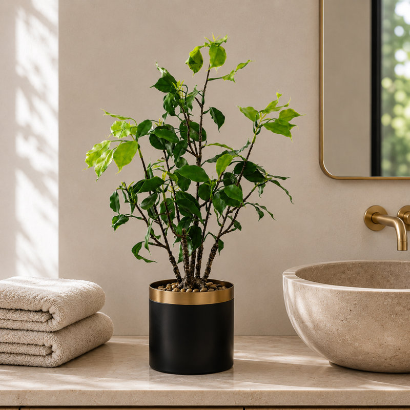 Eucalyptus Arrangement in Pot