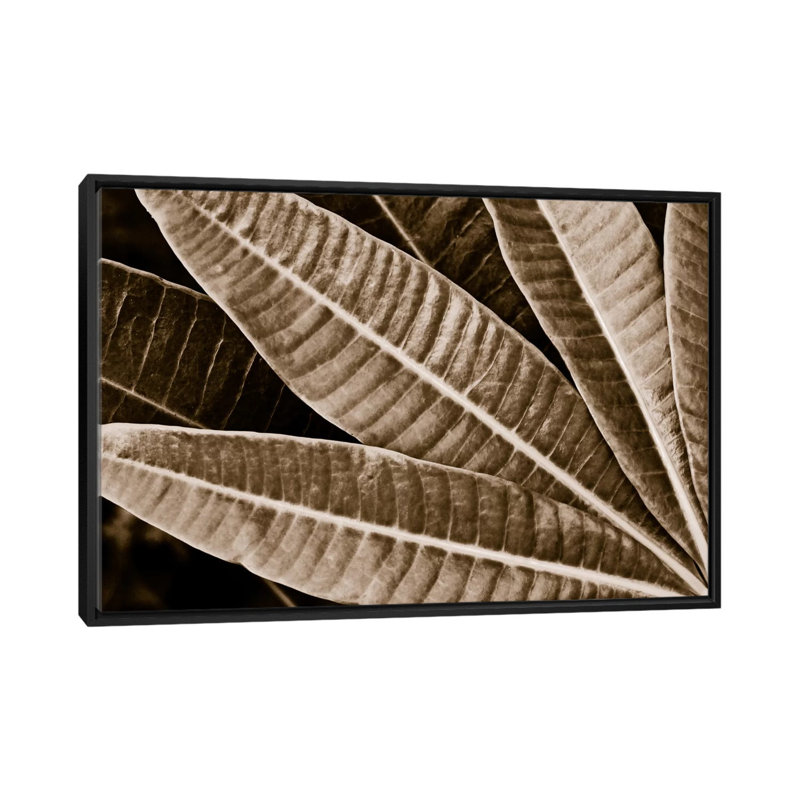 Albree Modern, sépia, feuilles, impression sur toile, H 40 po x l 60 po x P 1,5 po, Toile avec cadre flottant noir