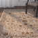 Tapis oriental ivoire / vert Shelburne