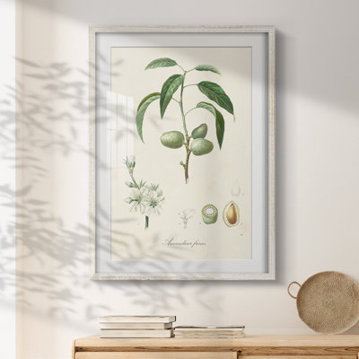 Cayden -Gallery Wrapped Canvas