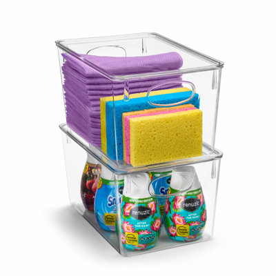 Sorbus 2 Pack Large Clear Plastic Cleaning Supplies Storage Bins with Lids and Handles