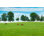 Pastures of Horse Farms par Volgariver - Photographie sur toile tendue