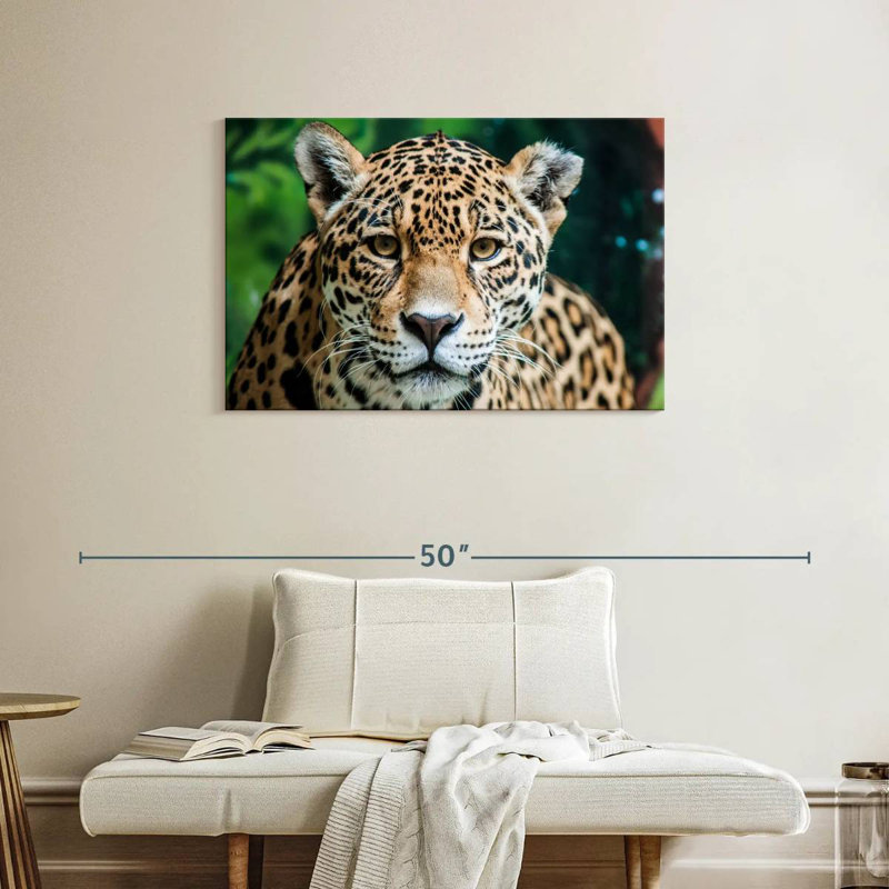 Jaguar solitaire, H 24 po x l 36 po