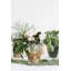 Bryant Handmade Glass Table Vase-2047379761