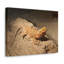 Art mural majestueux avec dragon barbu-2124367215