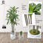 Arbre de Dracaena artificiel 6 pi, plante artificielle blanche moderne avec décor de mousse, arbre de plancher réaliste de 72 pouces pour la décoration de salon de bureau à domicile-1099517987