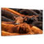 Bovins de boucherie-108842186