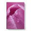 Petals Of A Pink Tulip In Abstract - Wrapped Canvas-55337703