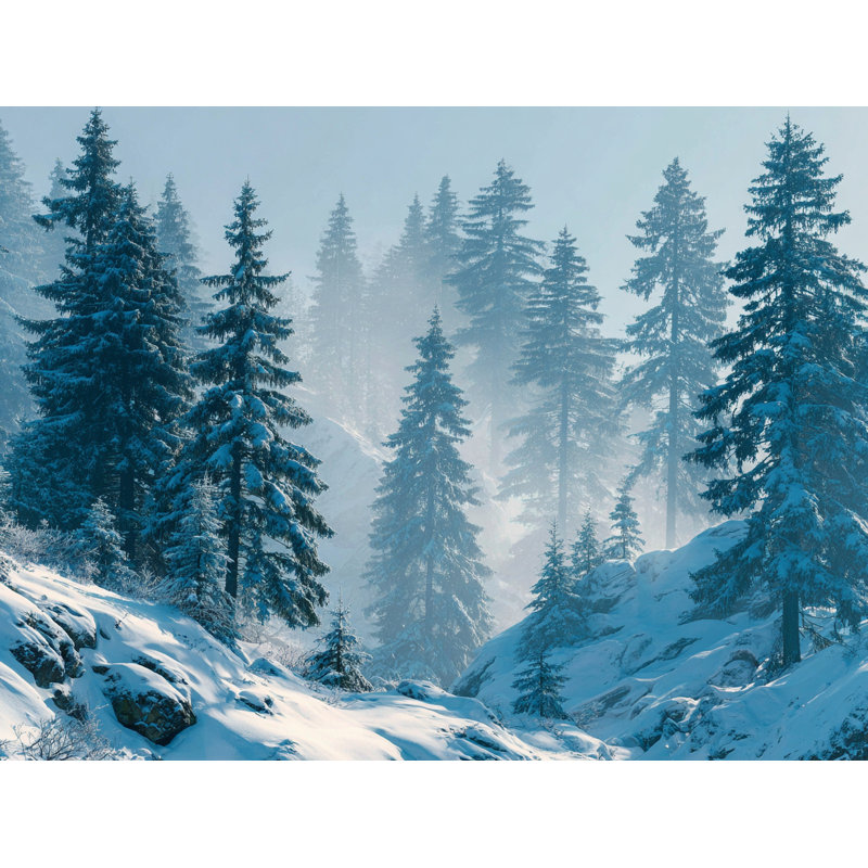 Art mural sur toile Misty Alpine Snowfall, H 36 po x l 48 po