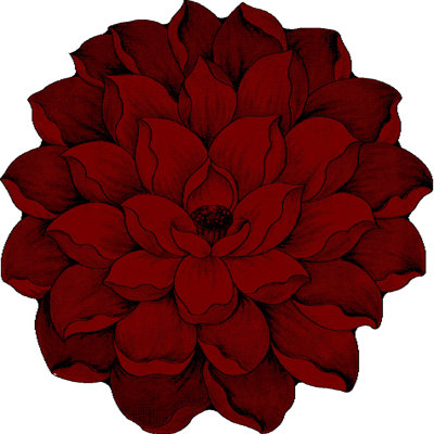 Vesta Floral Indoor Rug