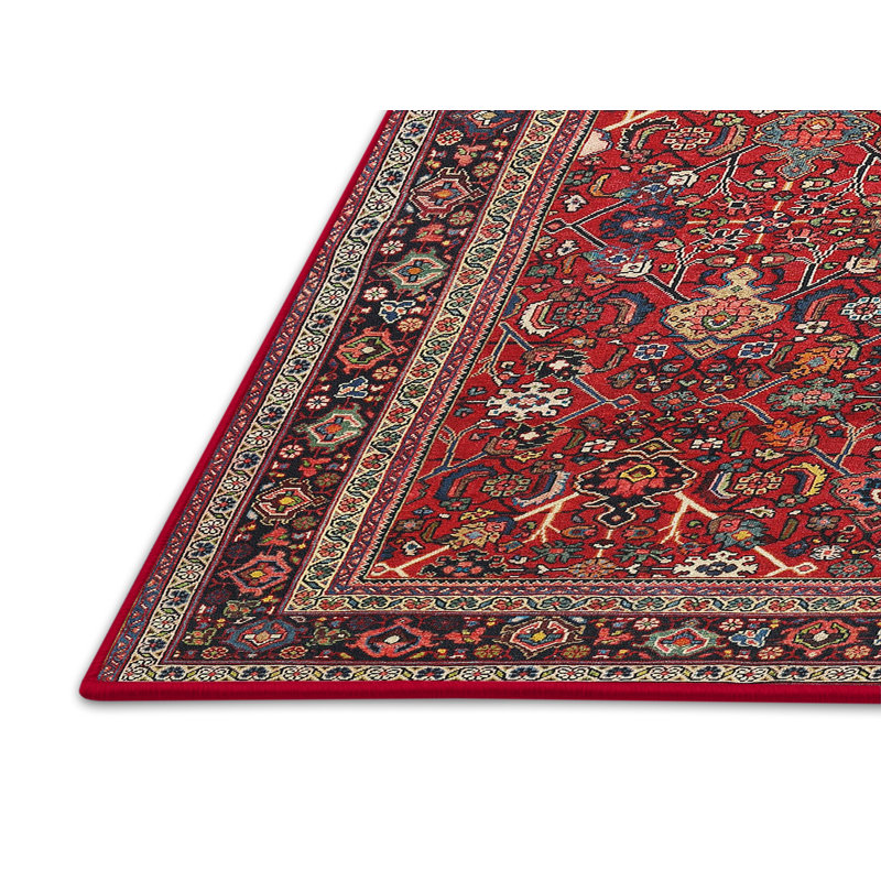 Oriental Indoor Rug, Rectangle 5' x 7'