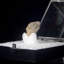Pétrole inclus quartz. Santa Fe, Nouveau-Mexique, États-Unis