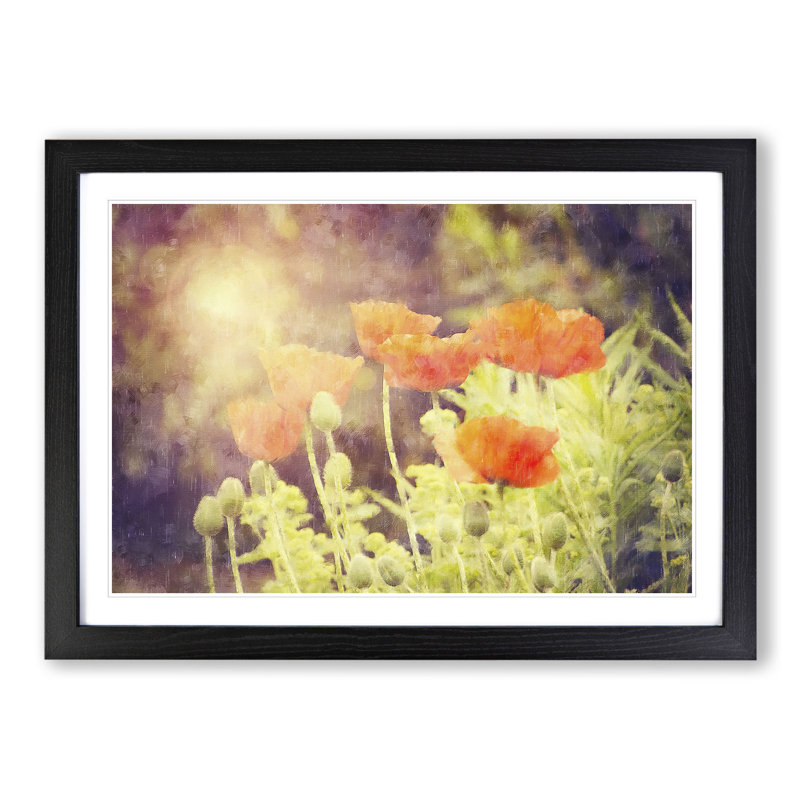 Field of Poppies Vol.6 - Framed Print, 27cm H x 36cm W x 2cm D, Black Framed