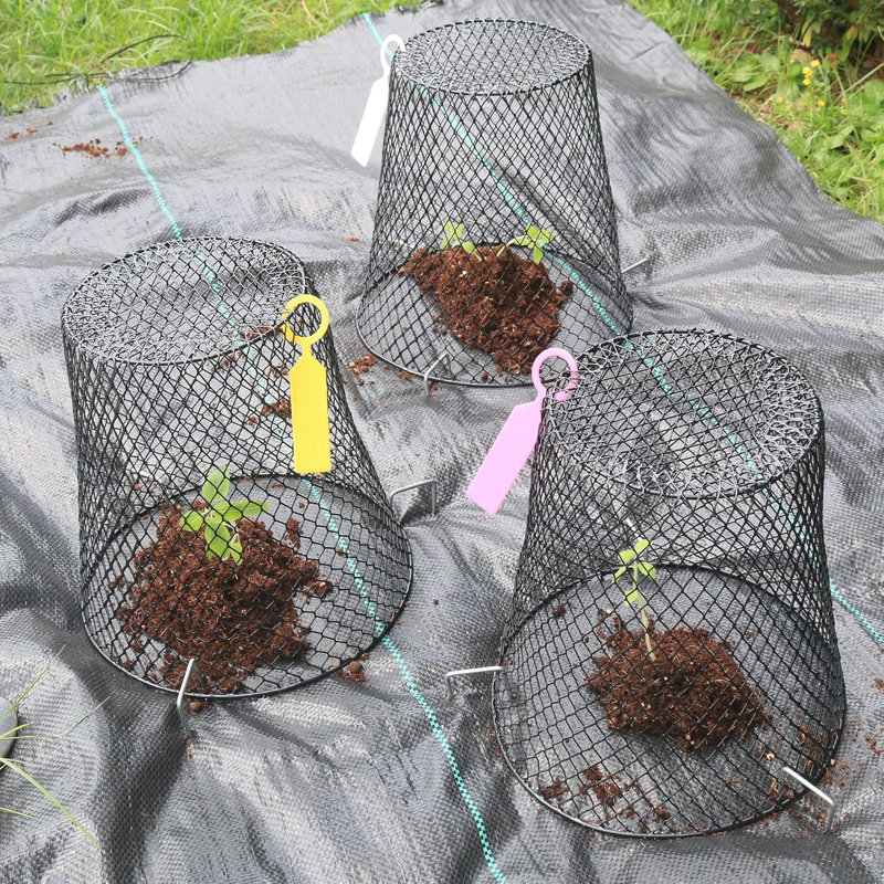 Protecteur de plantes cloche en fer, Paquet de 3