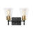 Briarwood 2 - Light Dimmable Vanity Light-899533672